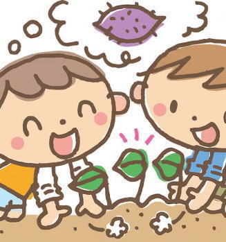 サツマイモ受付講習会